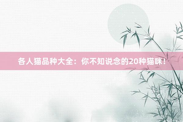 各人猫品种大全：你不知说念的20种猫咪！